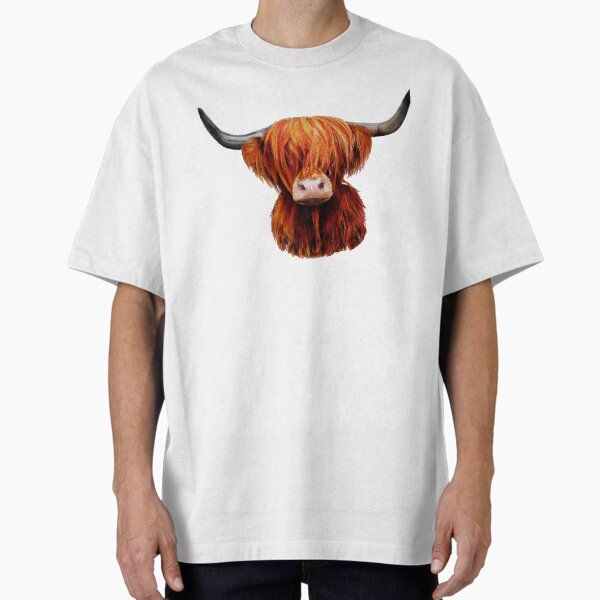 Hairy Scottish Highland Cow