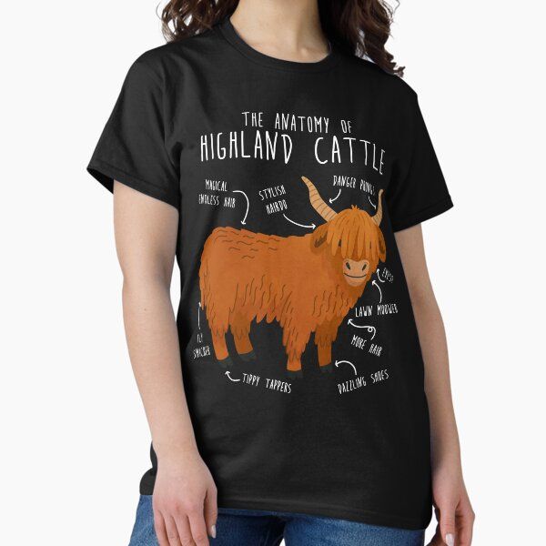 Highland Cow Anatomy